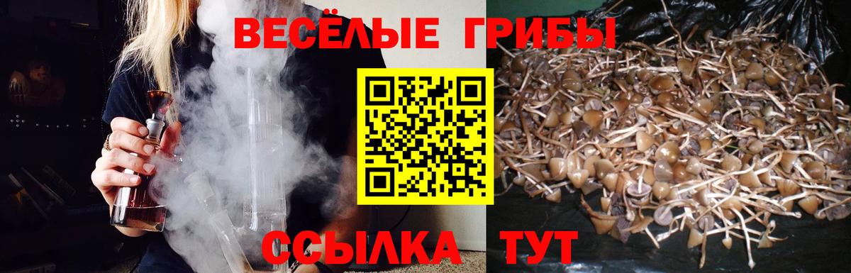 Гусиноозёрск  Псилоцибиновые грибы Psilocybine cubensis  Вход с VPN  Псилоцибиновые грибы Cubensis 