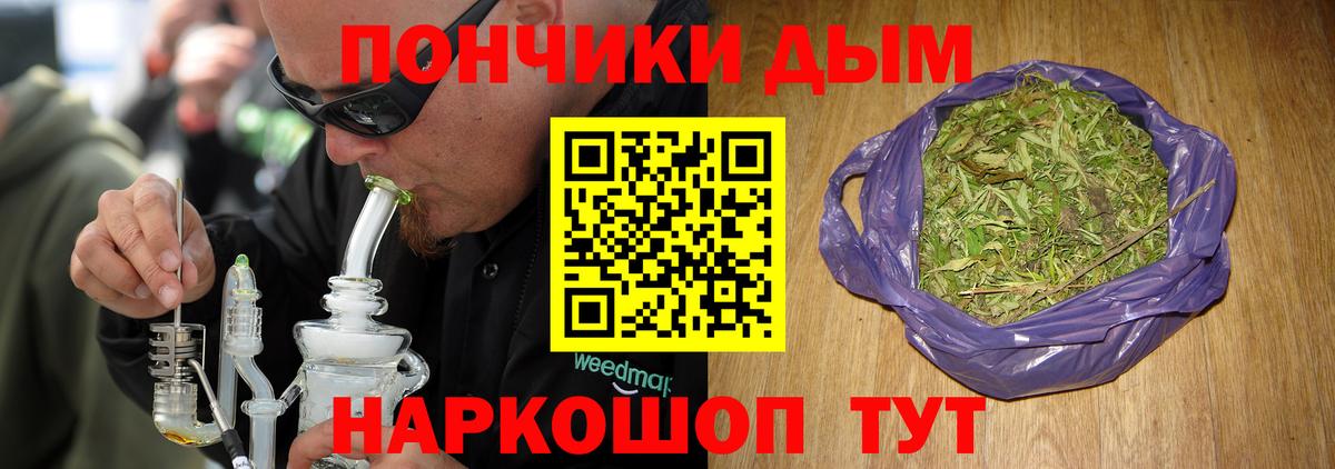 Шишки марихуана семена Гусиноозёрск